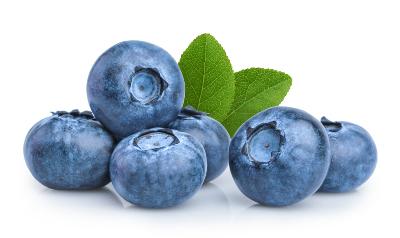 Blueberry Coconut Goody Treats